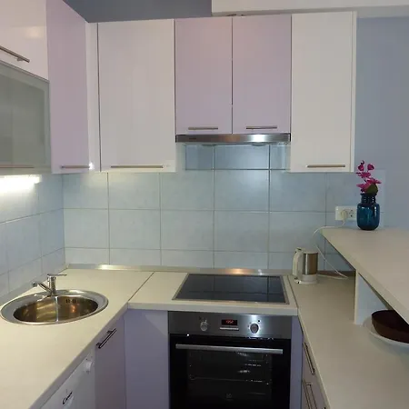 Apartment Novogradiska I
